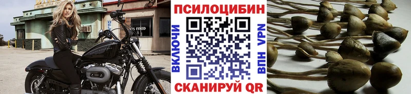 Псилоцибиновые грибы Psilocybe  продажа наркотиков  Старый Оскол 